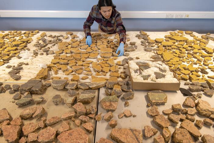 Museum of London Archaeology specialist Han Li lays out plaster fragments found in London from a Roman building that was demolished some time before A.D. 200.